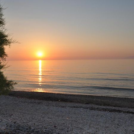 Tassos Apartments Corfu  Екстер'єр фото